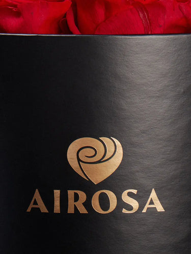 Box Premium 7 Rosas Eternas Airosa