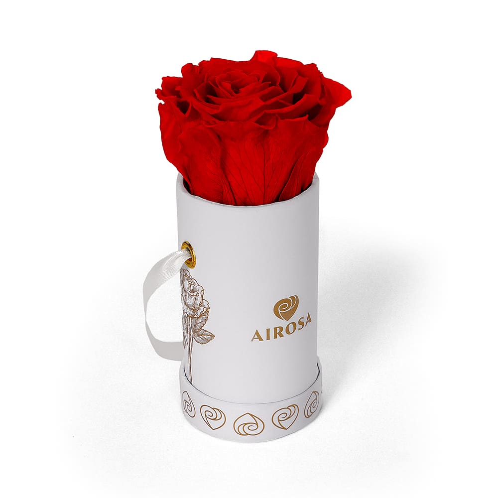 Rosa Eterna preservada Venus Airosa - Airosa