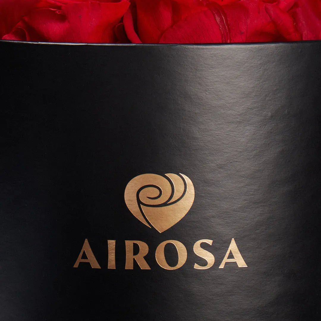 Rosas Eternas Deslumbrate Airosa - Airosa