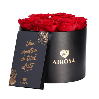 Rosas eternas encanto Airosa - Airosa
