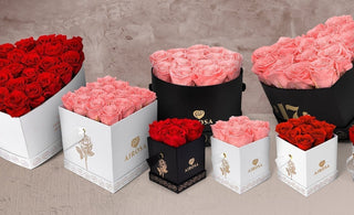 El Arte Floral: Cómo Transformar tus Espacios con la Magia de las Flores Eternas - Airosa