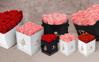 El Arte Floral: Cómo Transformar tus Espacios con la Magia de las Flores Eternas - Airosa