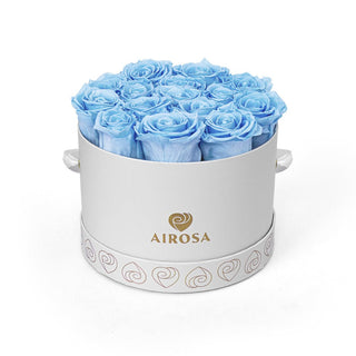 Bodas de bronce - Airosa