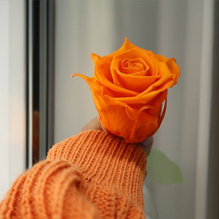 Color Naranja - Airosa
