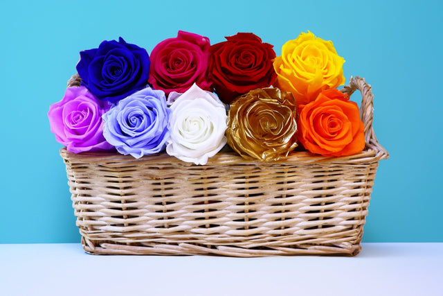 Colores