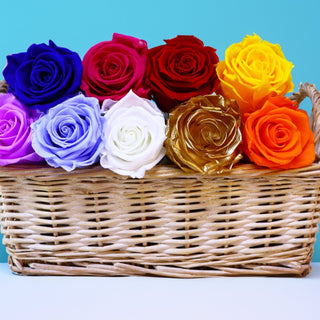 Colores - Airosa