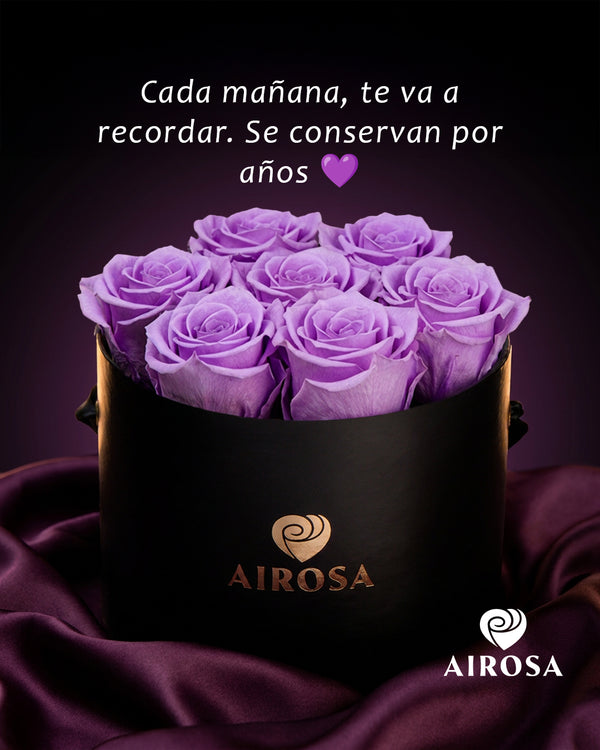 Colección mes morado