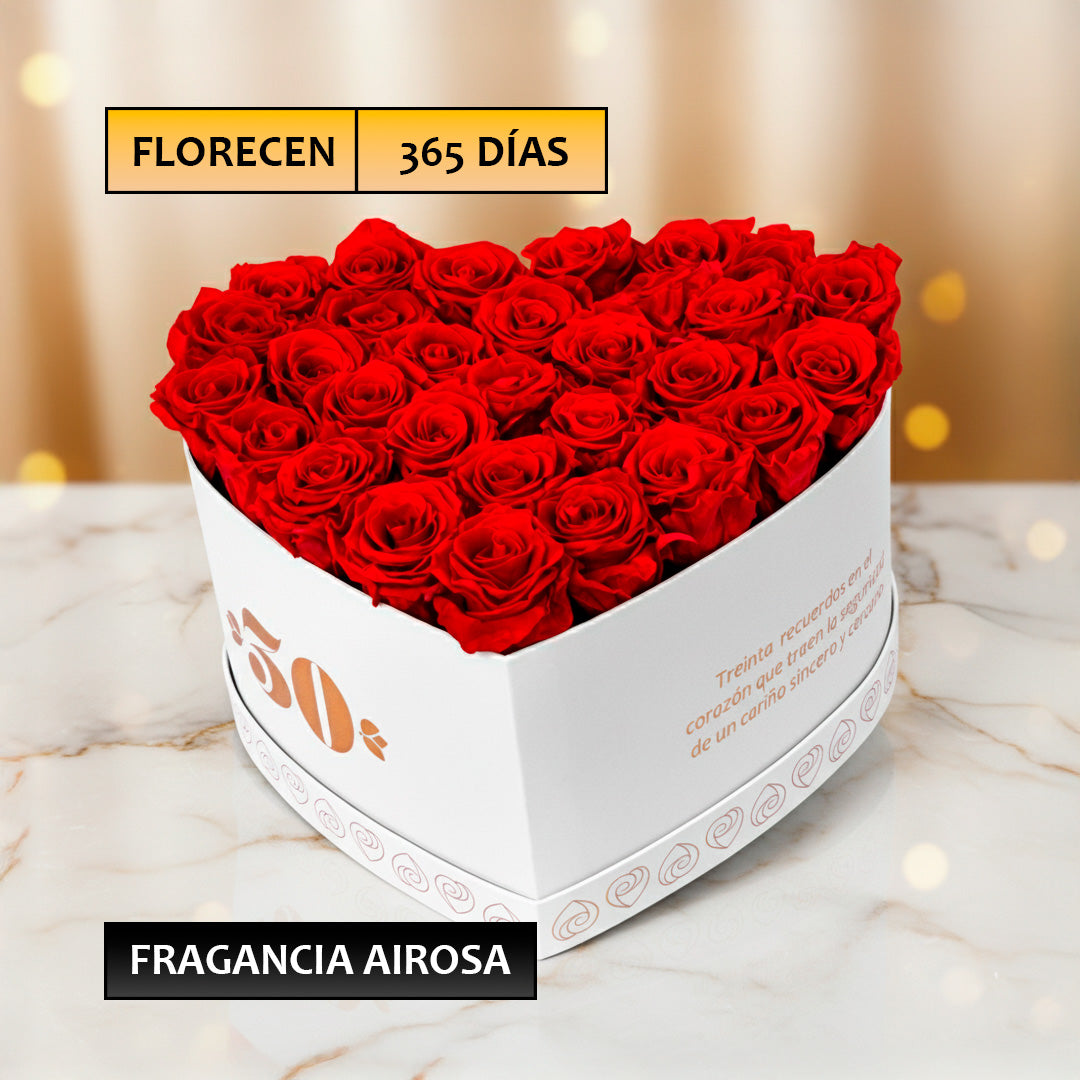 Box Royal 30 Rosas Eternas rojas Naturales Airosa