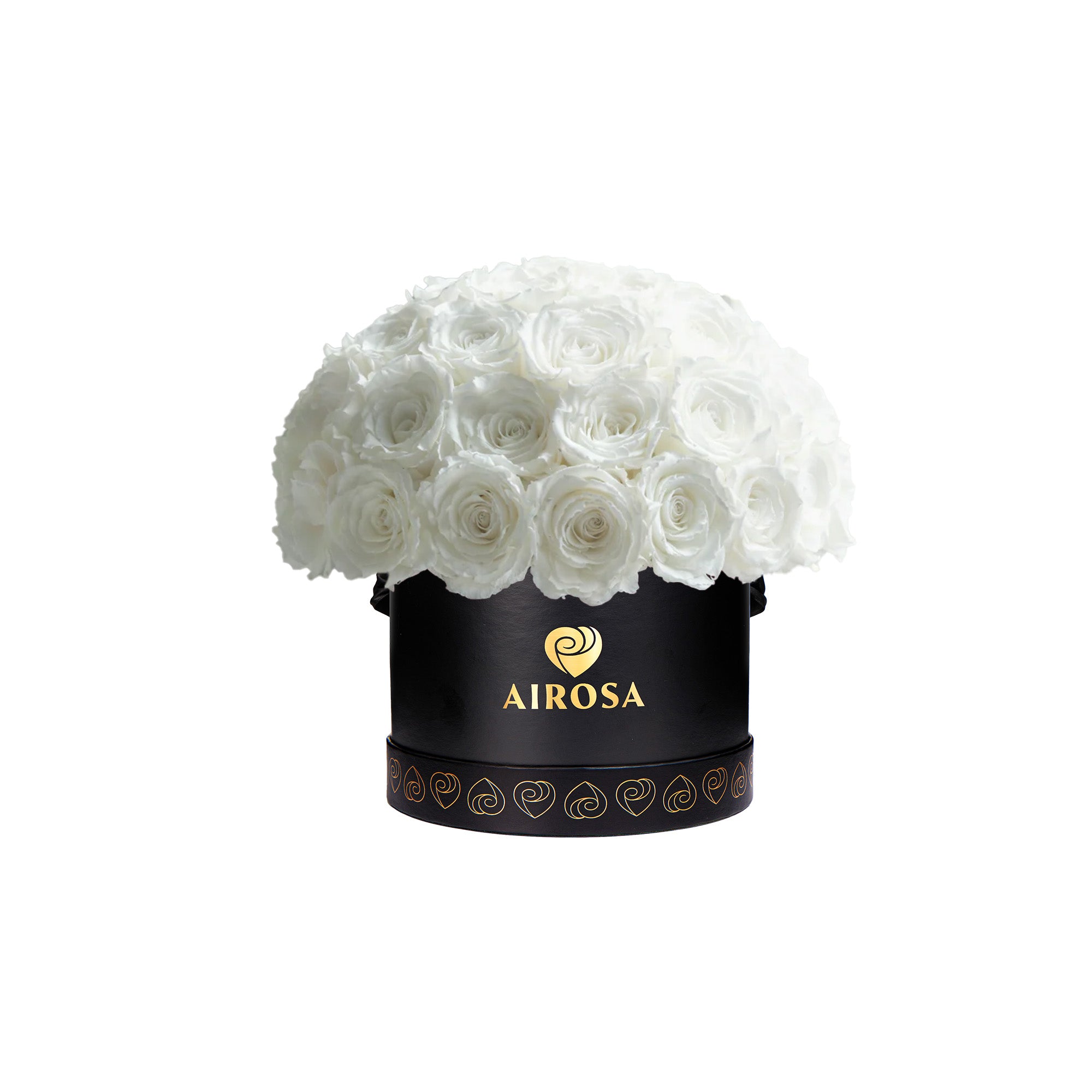 Airosa Paris rosas preservadas