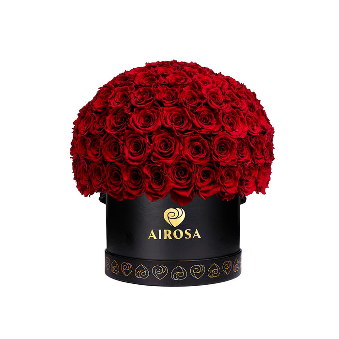 Airosa Grand Paris rosas preservadas