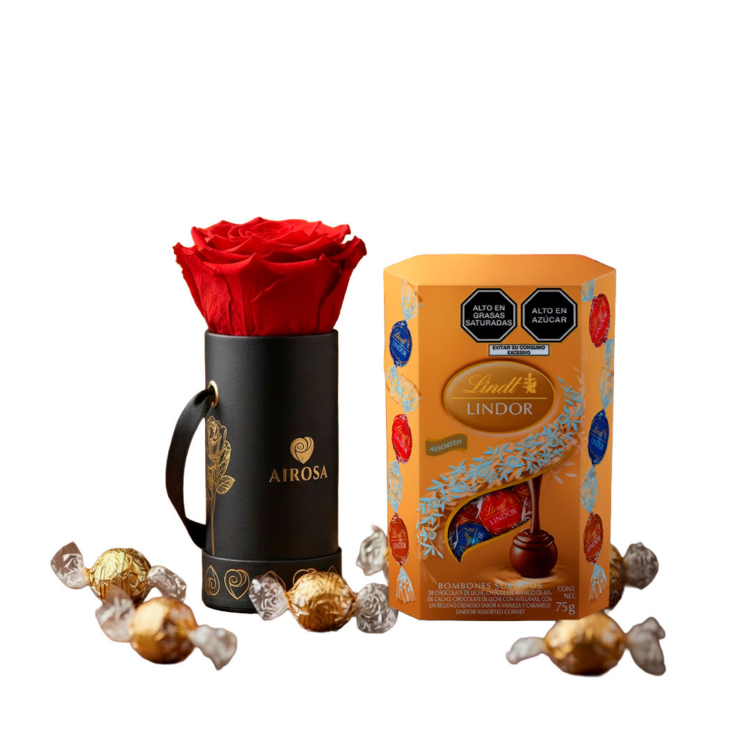 Rosa Eterna Natural Venus Airosa - Chocolate Suizo