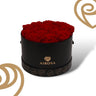 Box Premium 15 Rosas Auténticas Perfumadas Airosa