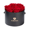 Box Premium 7 Rosas Eternas Airosa