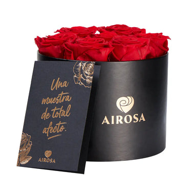 Box Premium 7 Rosas Eternas Airosa