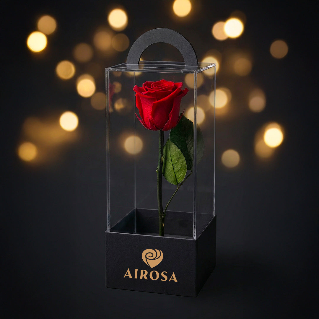 Rosas Preservadas Airosa con tallo 30 cm caja de acetato