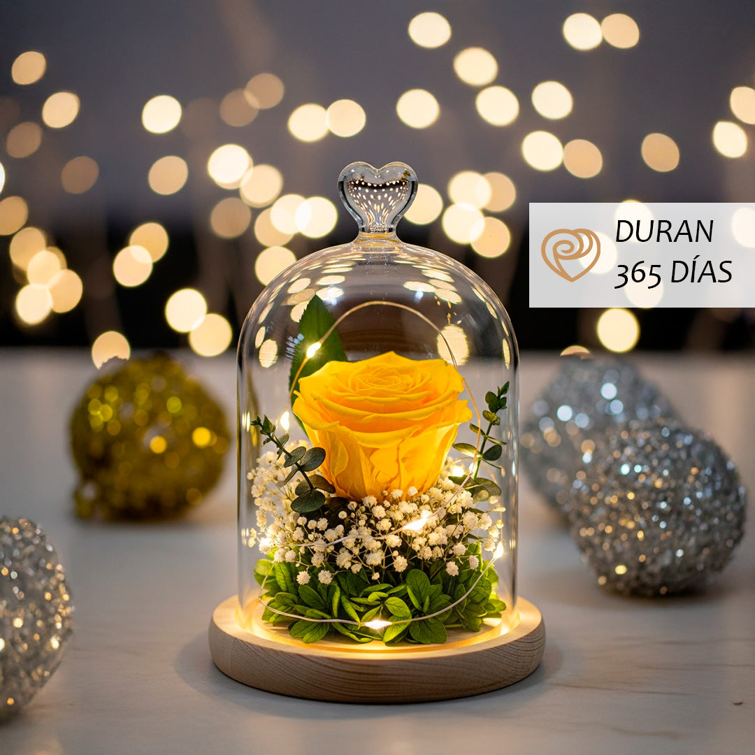 Cupula Rosa  amarillas Eterna Airosa dos rosas rojas preservadas - Luz Led