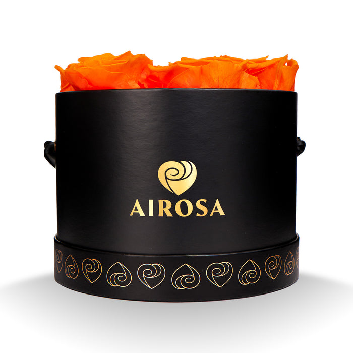 Rosa Eterna Reyna Airosa - color orange - Airosa