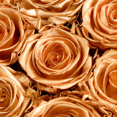 Rosa Eterna Reyna Airosa - color dorado