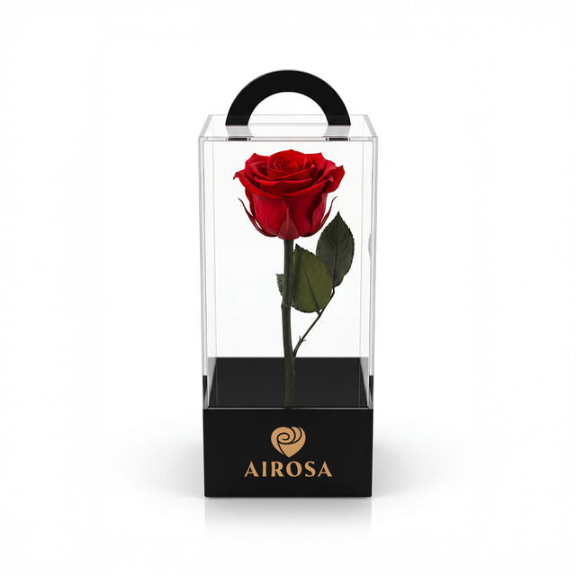 ¿Cuántas rosas?