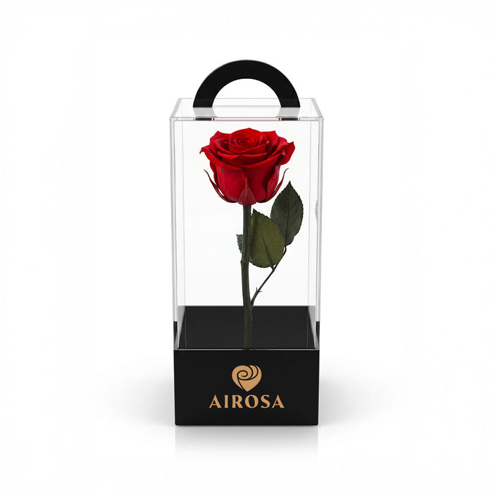 Rosas Preservadas Airosa con tallo 30 cm caja de acetato