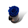 Rosa Eterna Airosa Box Mini color azul Airosa