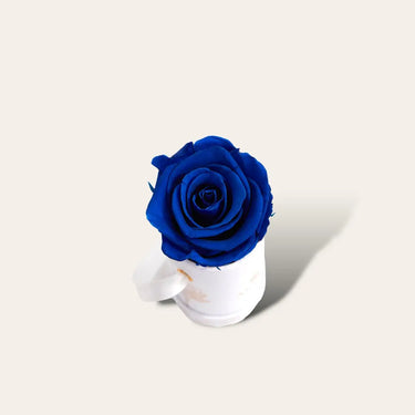 Rosa Eterna Airosa Box Mini color azul Airosa