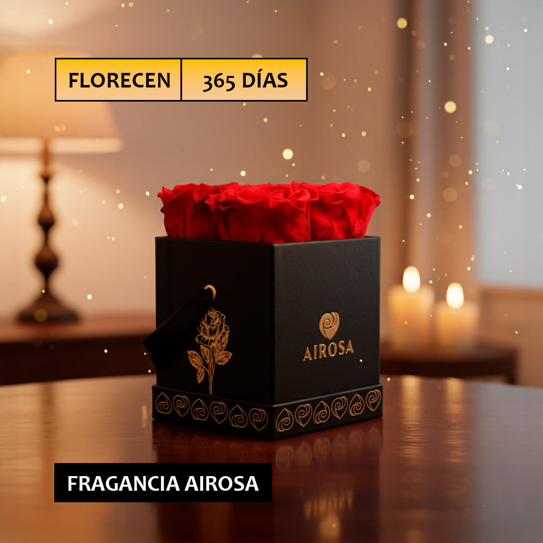 Box Divina 04 Rosas Eternas rojas Naturales Airosa