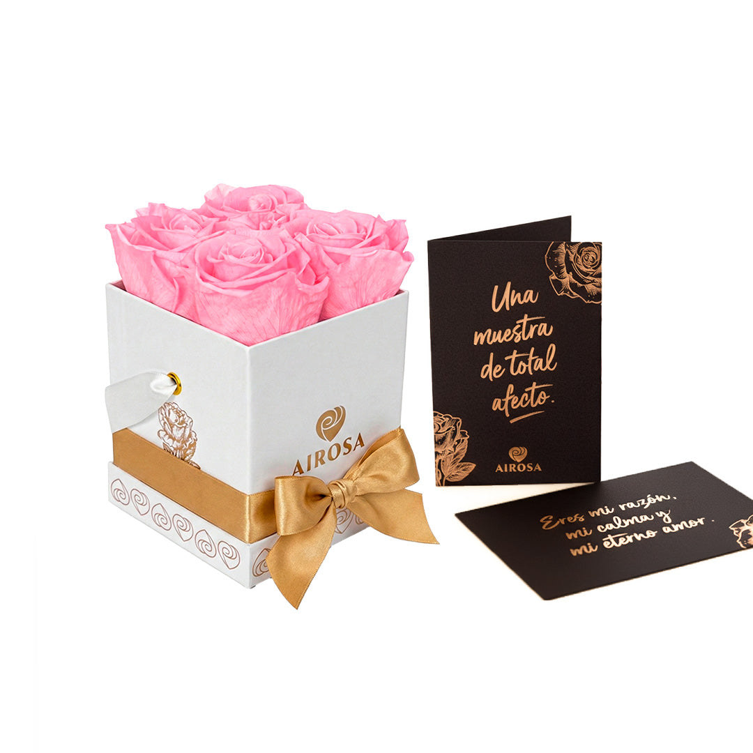 Rosas Preservadas Diva AIROSA - Pack x4 Rosa Bebé Box Blanco