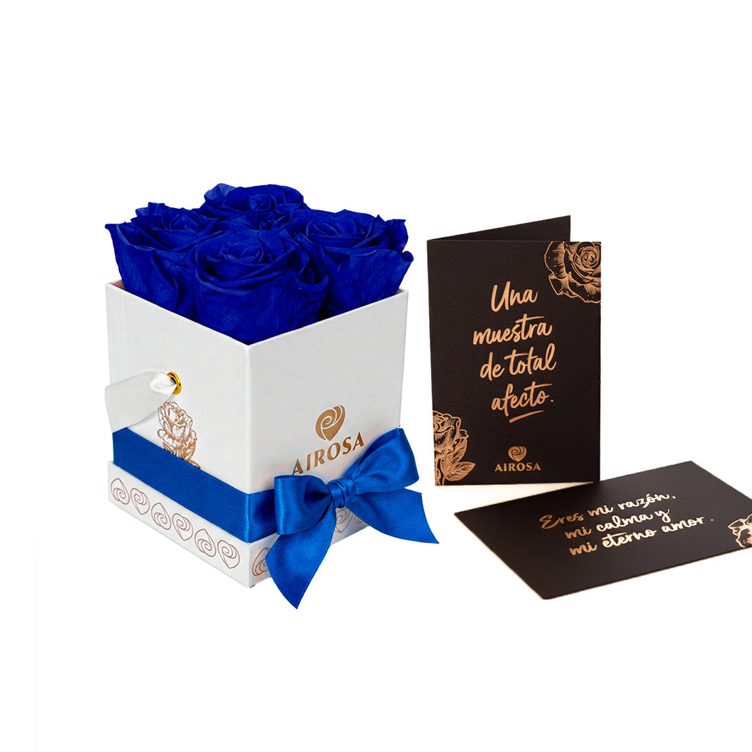 Rosas Preservadas Diva AIROSA - Pack x4 Azul Royal Box Blanco