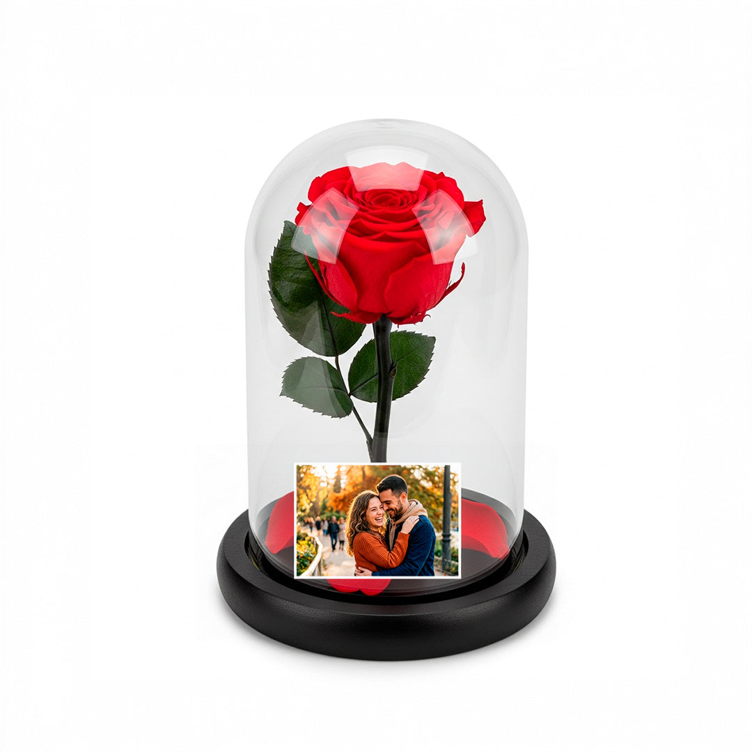 Cupula Real de vidrio Airosa