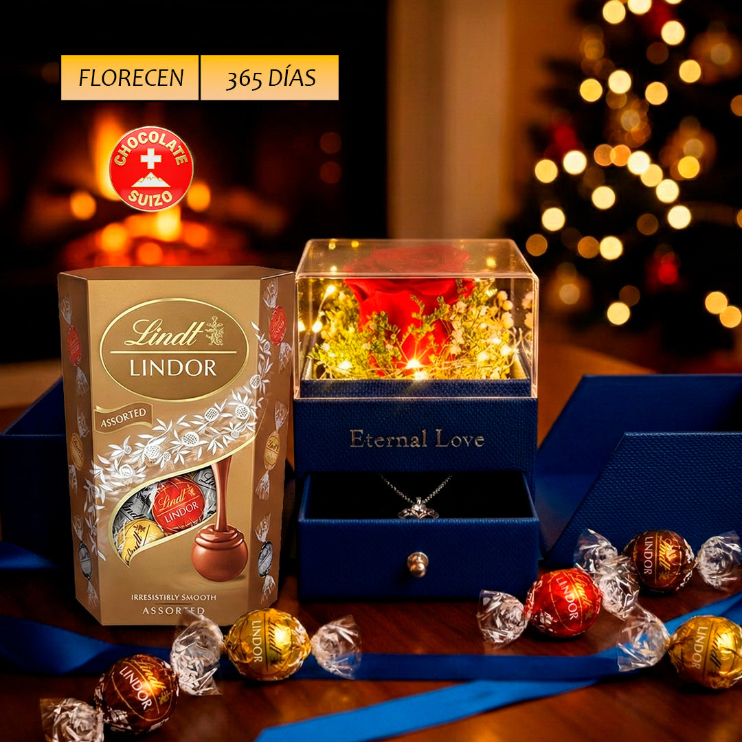 Joyero Eterno Luz Led, 01 Rosas Preservadas  Airosa - Chocolate Suizo