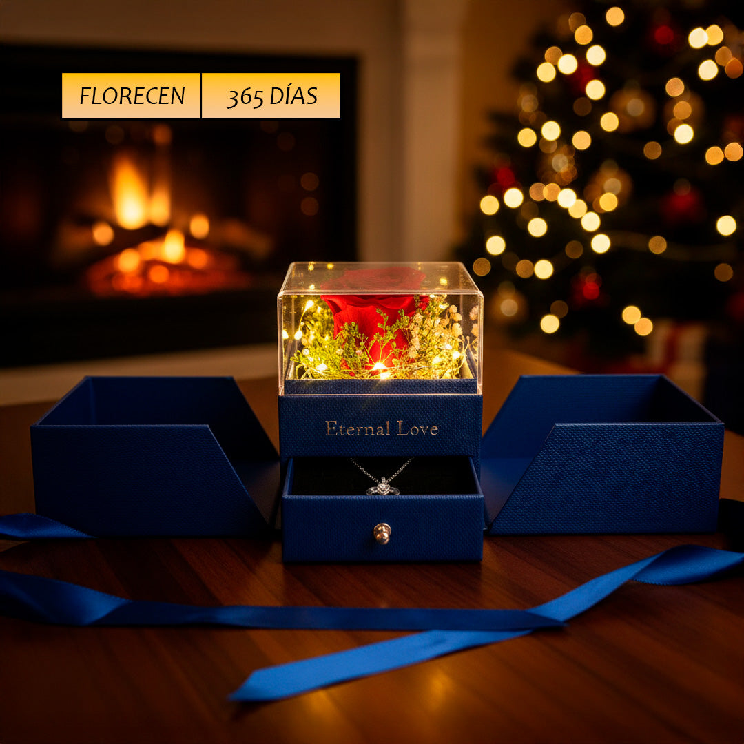 Joyero Eterno Luz Led, 01 Rosas Preservadas  Airosa