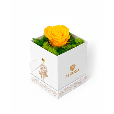Flores amarillas box Eternity Airosa