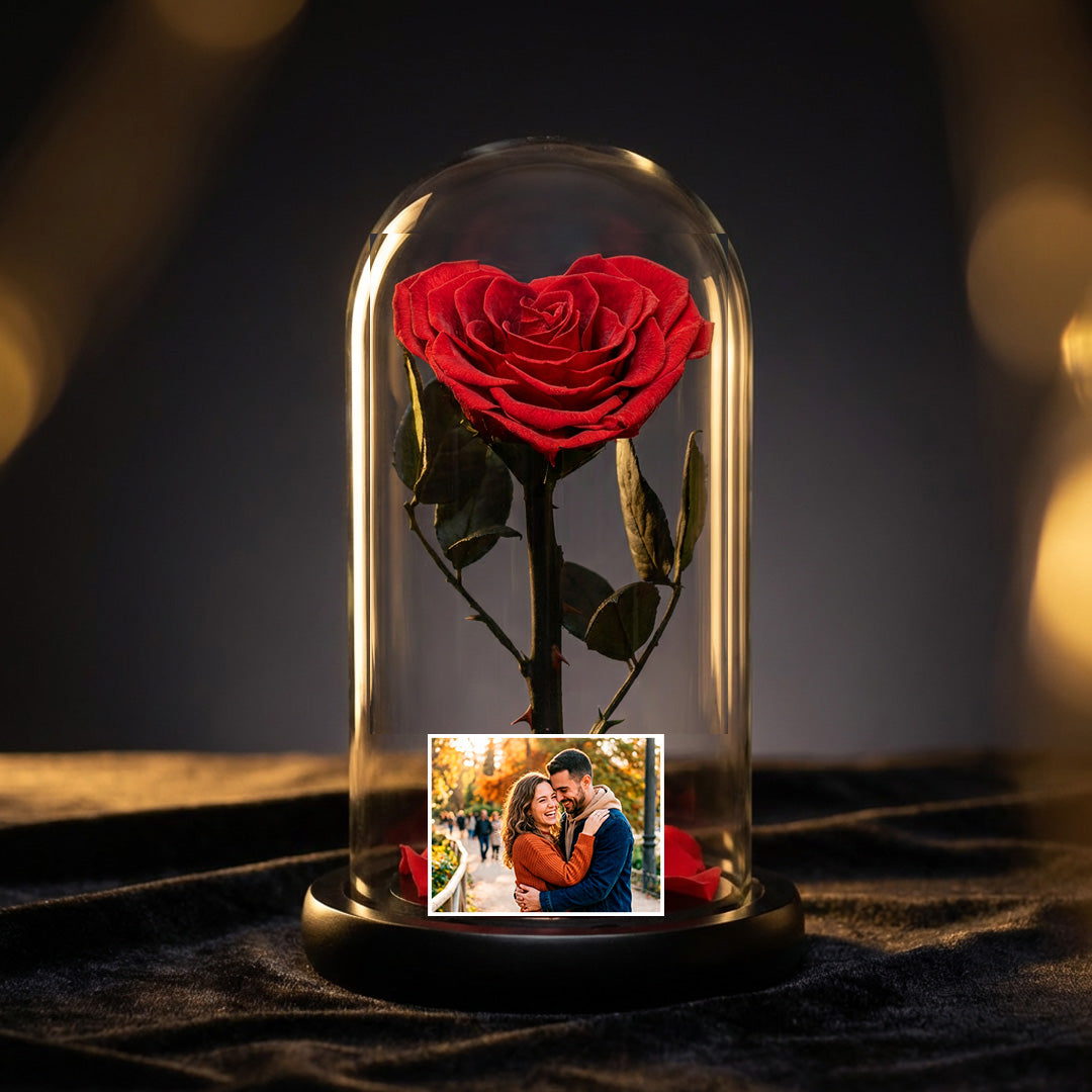 Cupula de vidrio Eternal Love Airosa