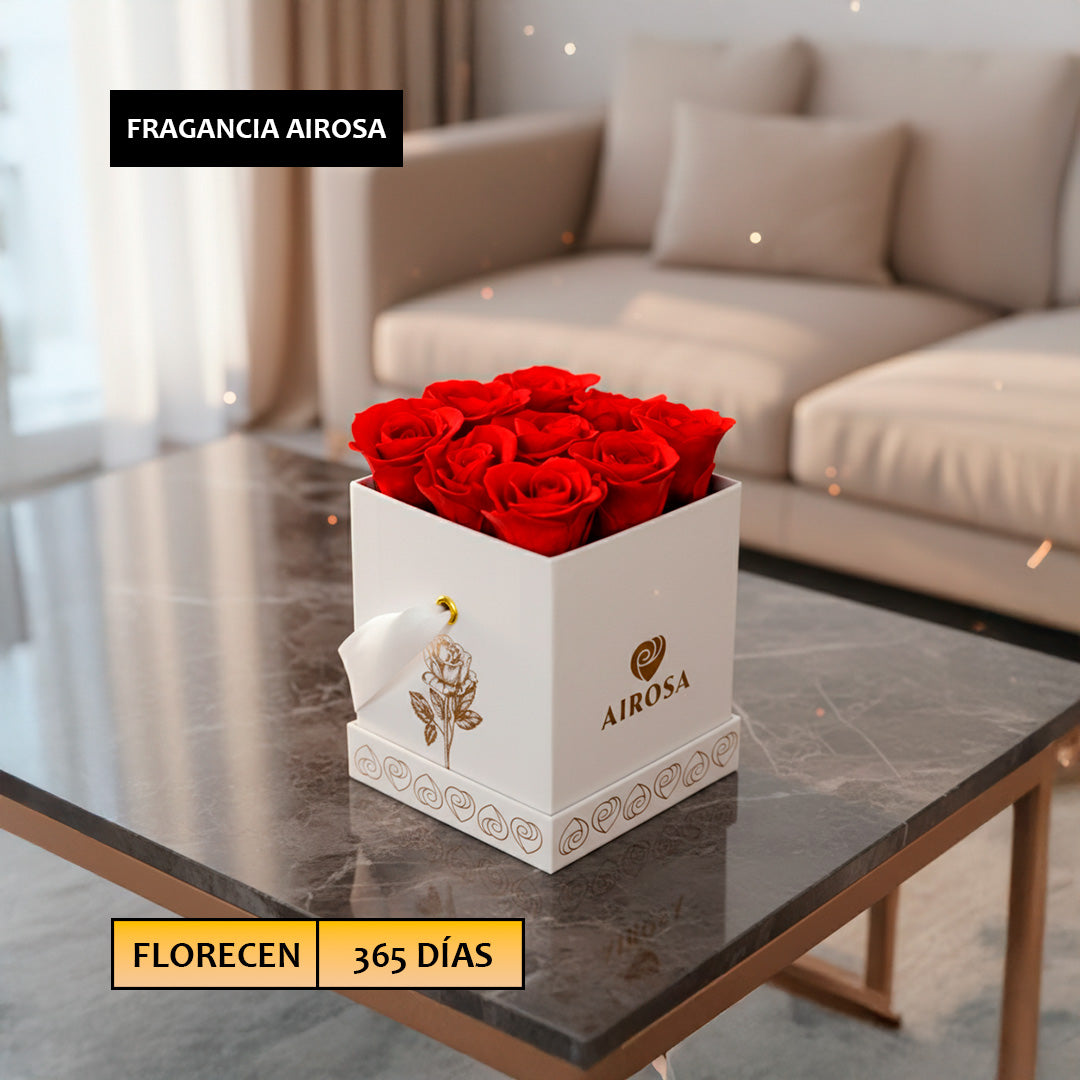 Box Trinity Airosa 09 Mini Rosas preservadas rojas Naturales